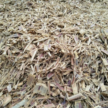 纸浆原料生竹片熟竹片供应站看详情可长期供应
