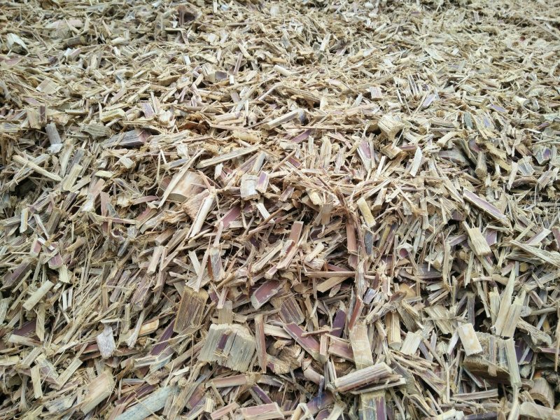 纸浆原料生竹片熟竹片供应站看详情可长期供应