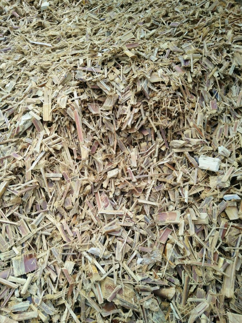 纸浆原料生竹片熟竹片供应站看详情可长期供应