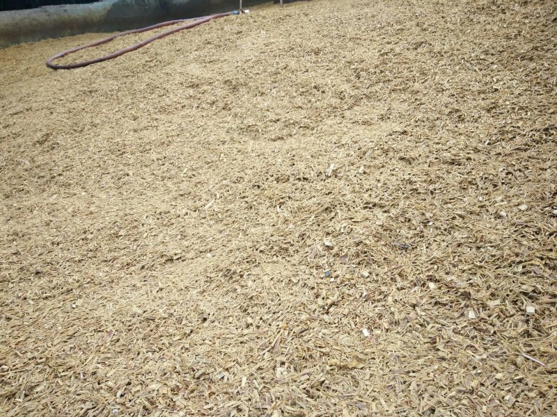 纸浆原料生竹片熟竹片供应站看详情可长期供应