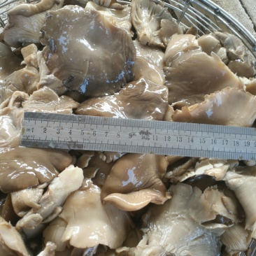 盐水平菇，地瓜茎，