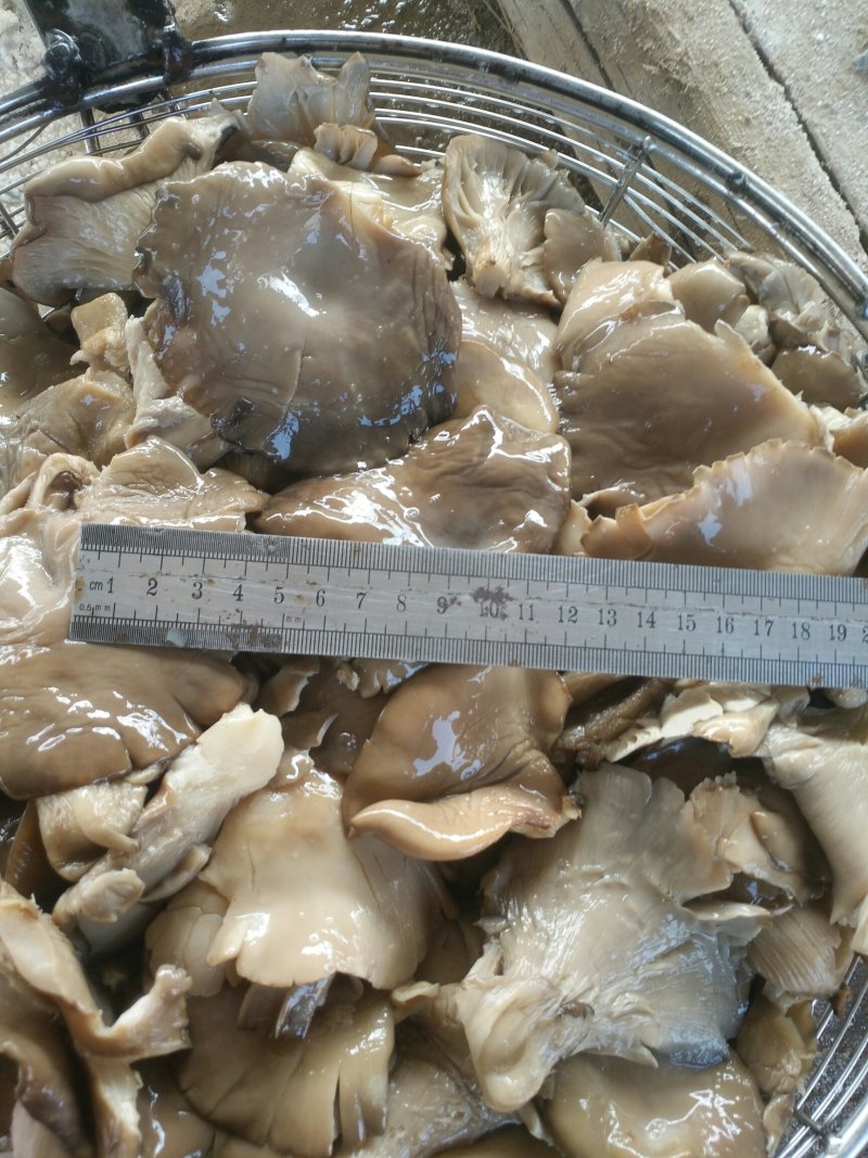 盐水平菇，地瓜茎，