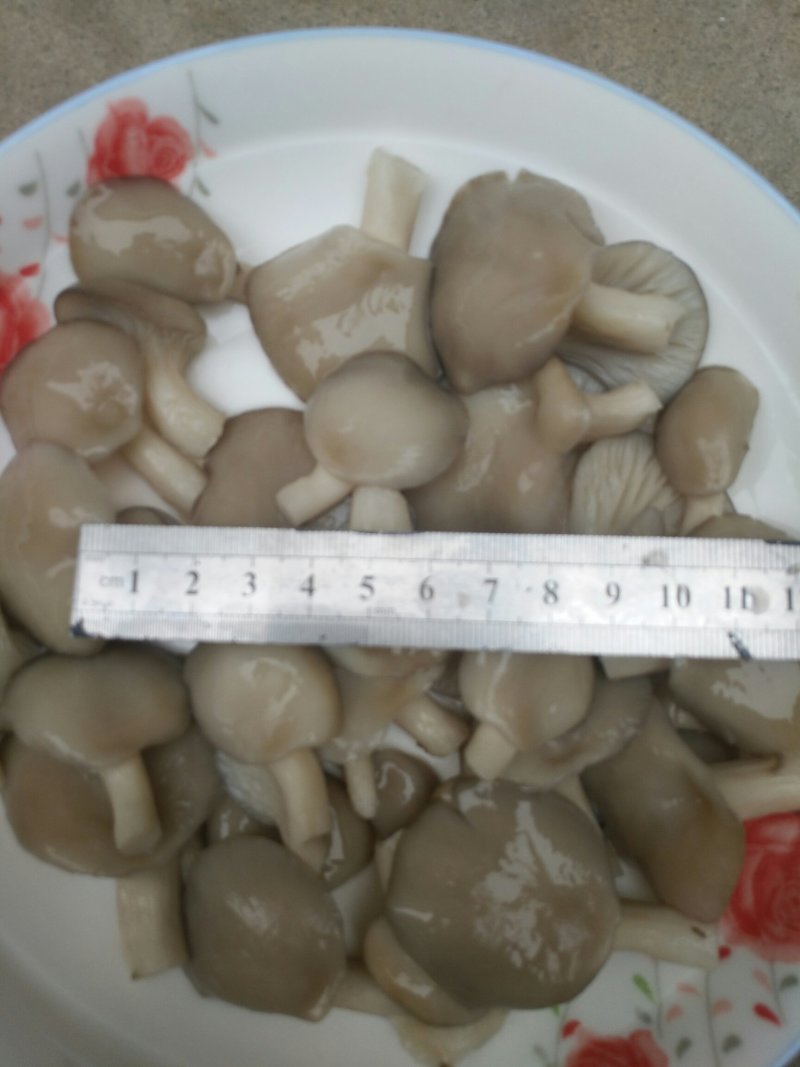 盐水平菇，地瓜茎，