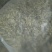 湖北襄阳今年精品新季金银花自家种植产地直销量大从优