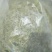 湖北襄阳今年精品新季金银花自家种植产地直销量大从优