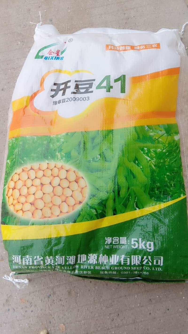 大豆种子