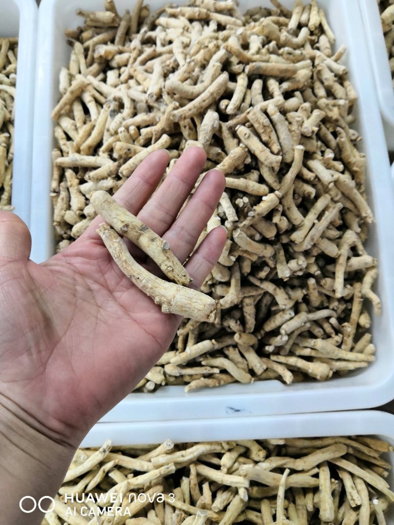 西洋参个（六七克左右）花旗参个170一斤包邮