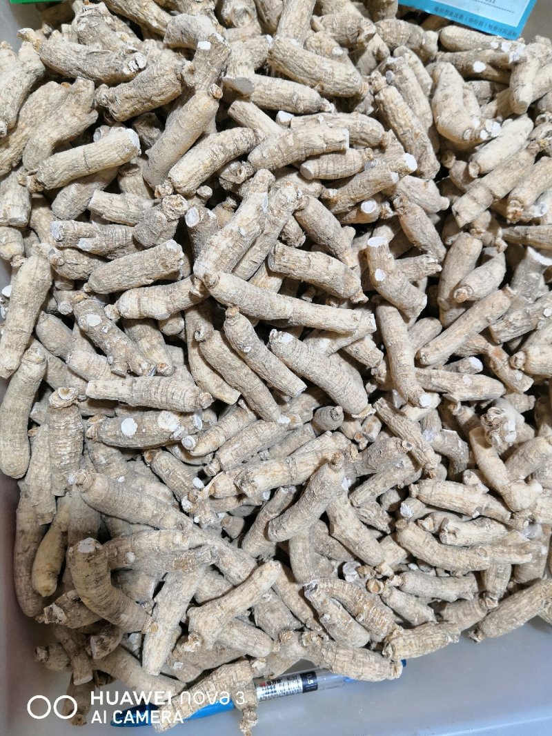 西洋参个（六七克左右）花旗参个170一斤包邮