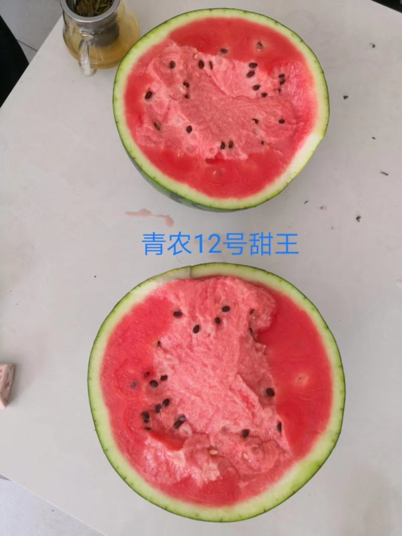 青农12号甜王早熟糖度15，大红瓤小黑籽小薄皮