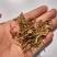金银花纯野生金银花茶带绒毛不是山银花