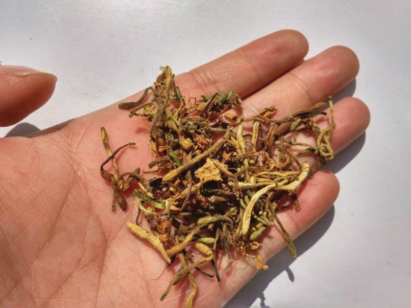 金银花纯野生金银花茶带绒毛不是山银花