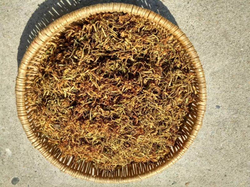 金银花纯野生金银花茶带绒毛不是山银花