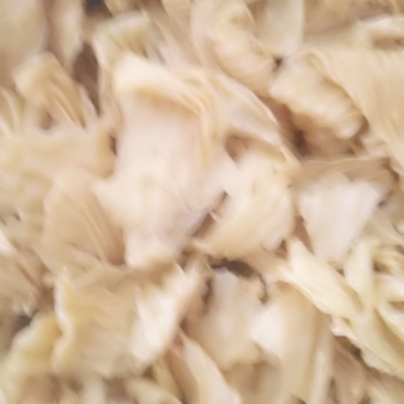 豆皮