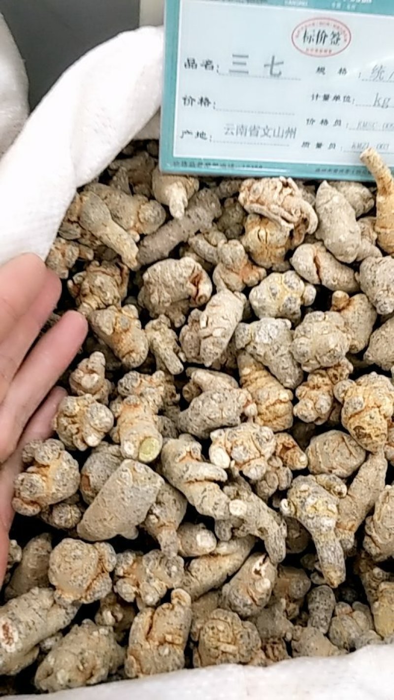 三七各种规格水洗全干货批发各种中药材