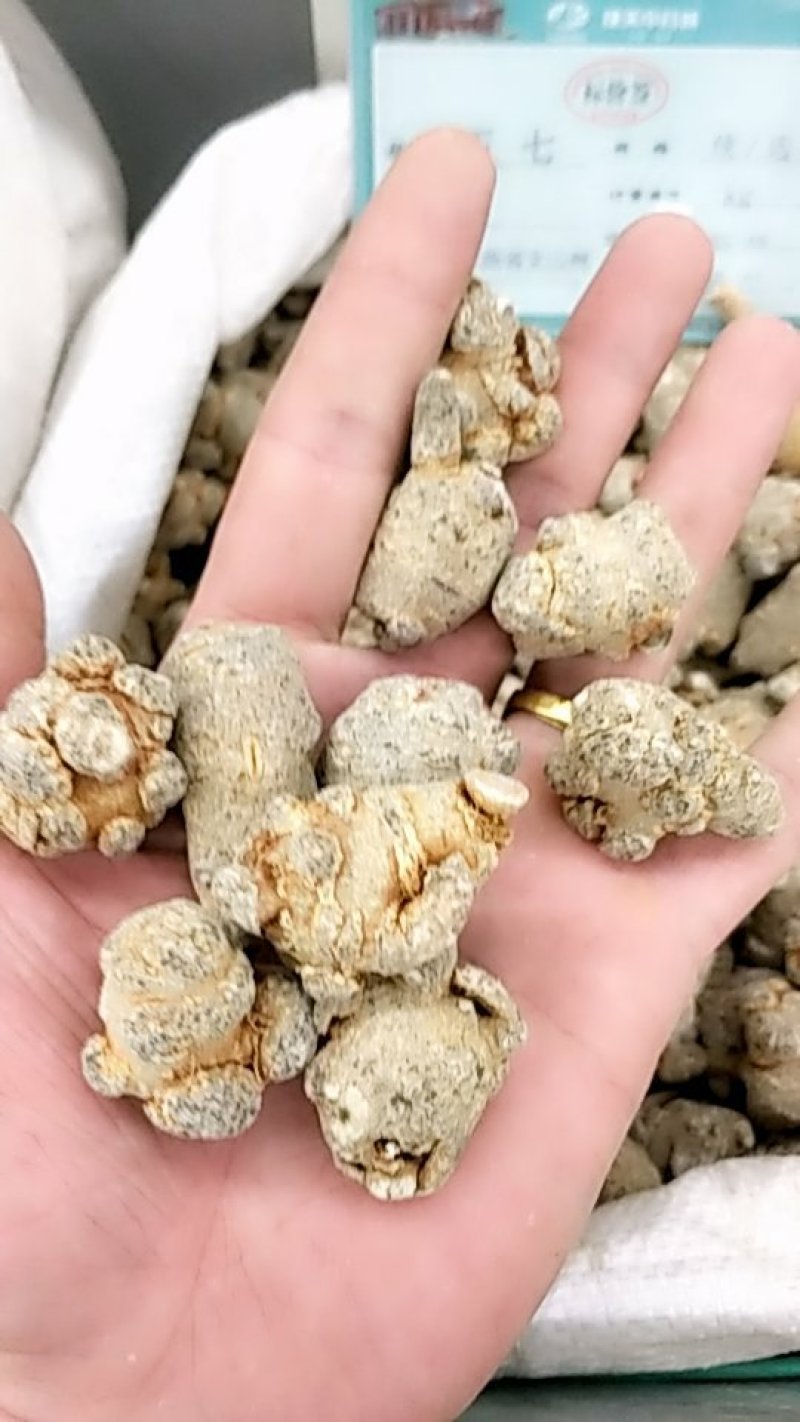 三七各种规格水洗全干货批发各种中药材