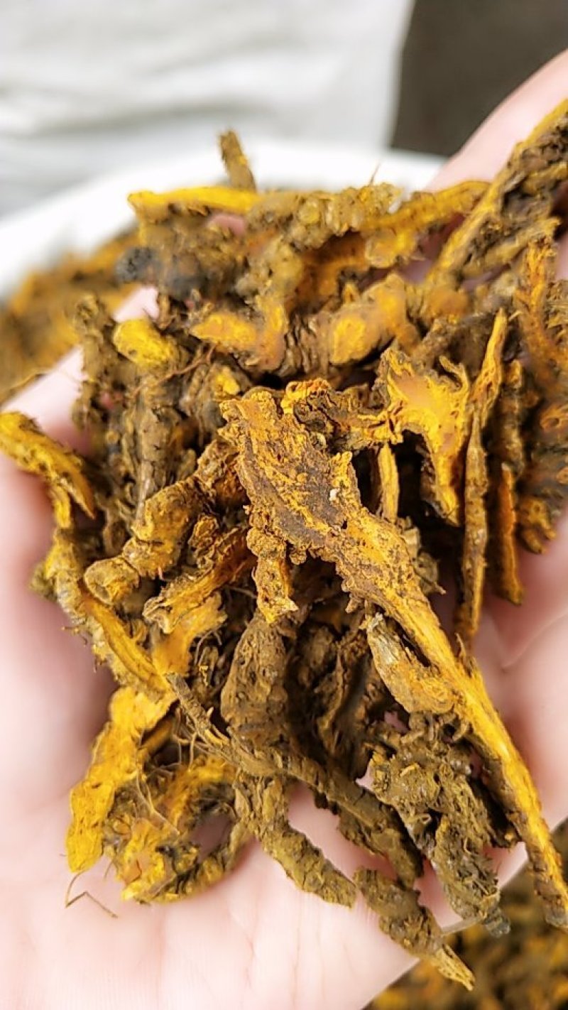 黄连中药材大货批发一手货源