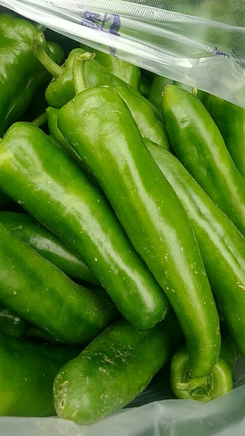 青辣椒，