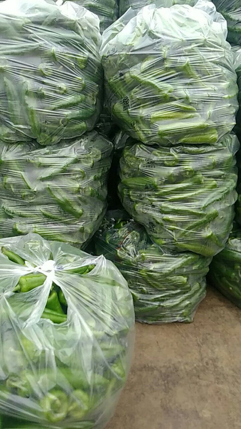 青辣椒，