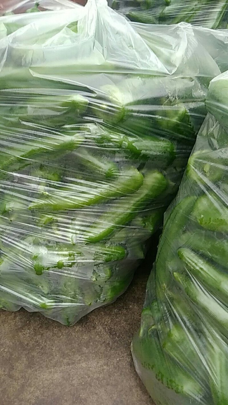 青辣椒，