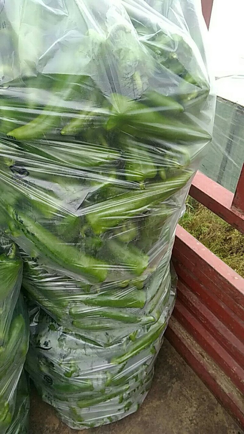 青辣椒，