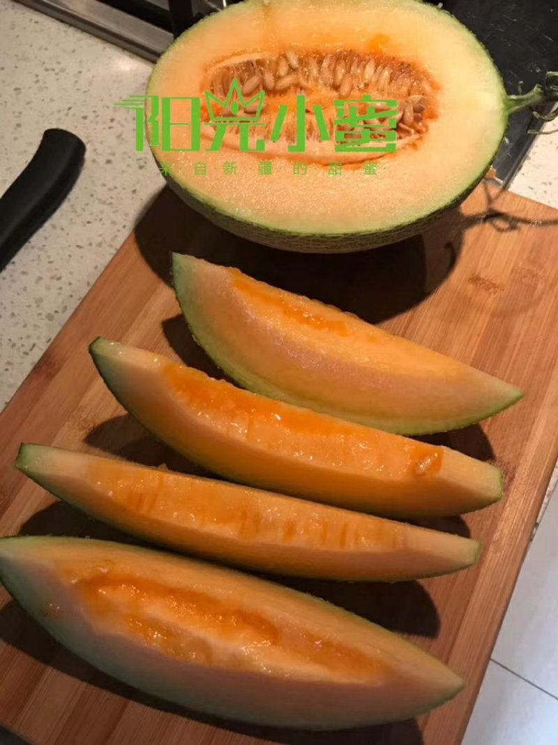 阳光小蜜哈密瓜