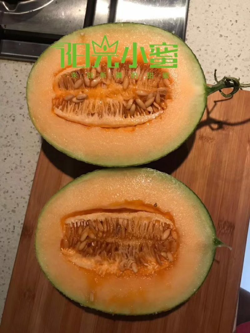 阳光小蜜哈密瓜