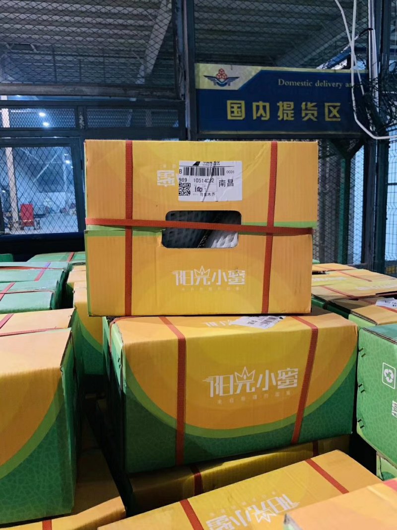 阳光小蜜哈密瓜