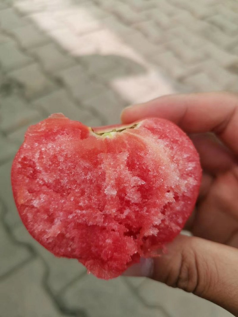 新疆吐鲁番好柿光西红柿