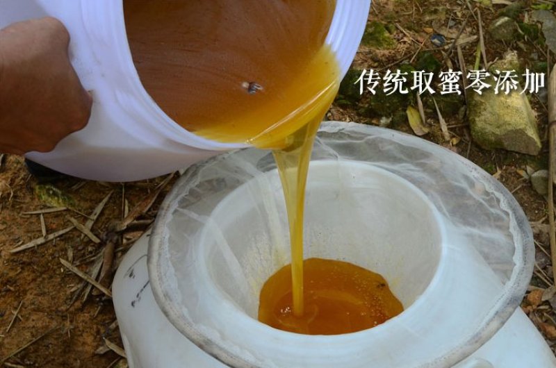 【纯正好货】大山中天然土蜂蜜500g批发电商微商一件代发