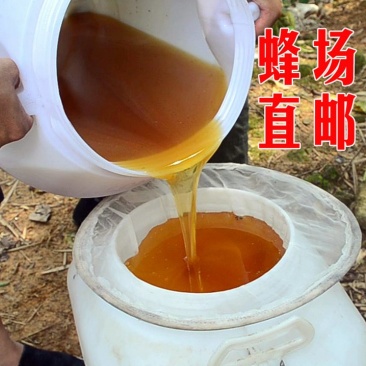 【纯正好货】大山中天然土蜂蜜500g批发电商微商一件代发