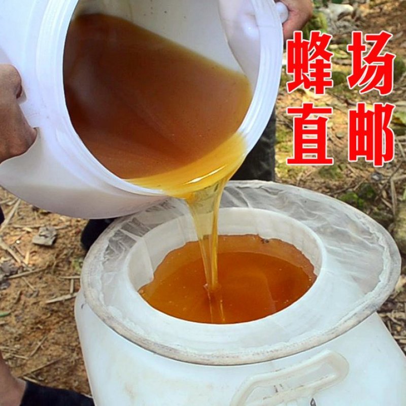 【纯正好货】大山中天然土蜂蜜500g批发电商微商一件代发