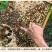 【纯正好货】大山中天然土蜂蜜500g批发电商微商一件代发
