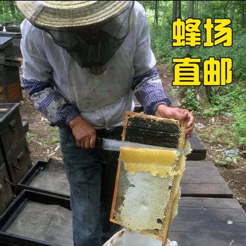 【纯正好货】大山中天然土蜂蜜500g批发电商微商一件代发