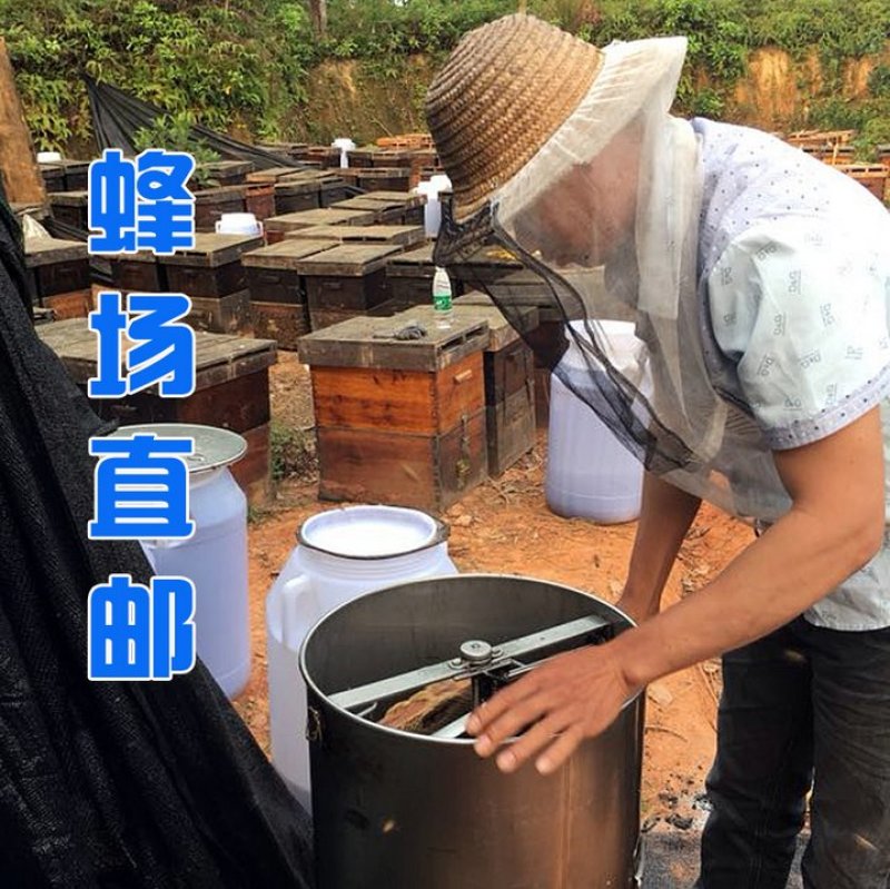 【纯正好货】大山中天然土蜂蜜500g批发电商微商一件代发