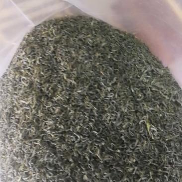 汉中绿茶