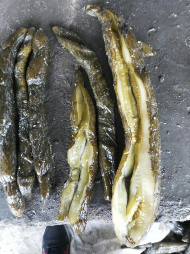 长期供应腌渍出口或内销用的半成品陆地黄瓜