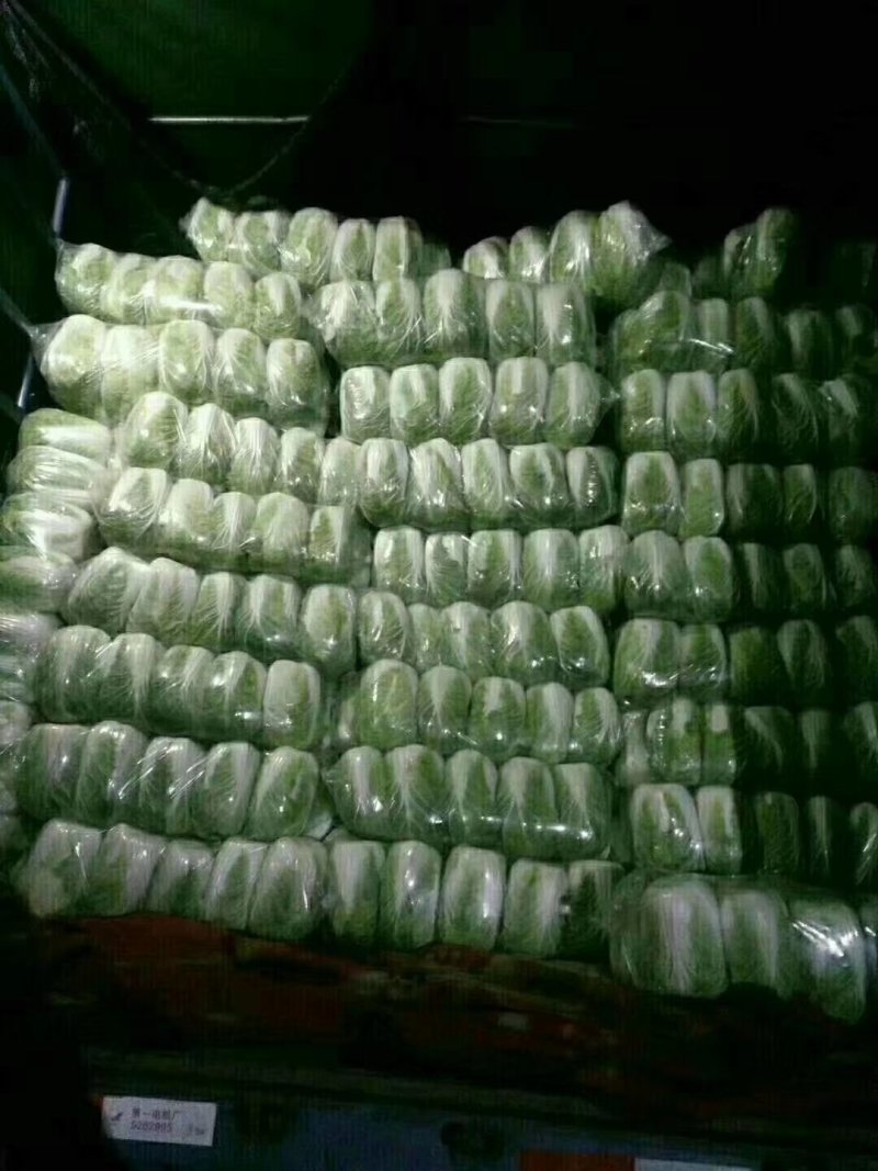 精品高山大白菜娃娃菜产地直销！新鲜上市，保质保量