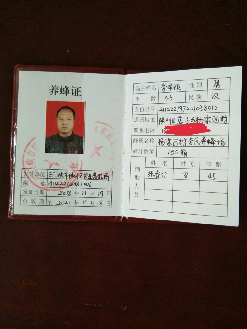 【带木框意蜂老巢脾】诱捕蜜蜂、中蜂取蜜专用带木框老巢脾