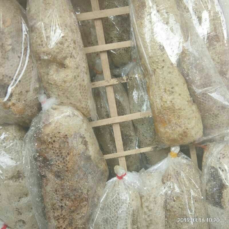 一手货源产地直销供应高山野生大挂蜜小挂蜜