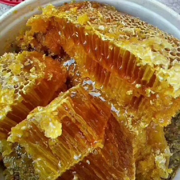 一手货源产地直销供应高山野生大挂蜜小挂蜜