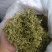 金银花非山银花金银花可泡茶青花批发零售各种规格中药材