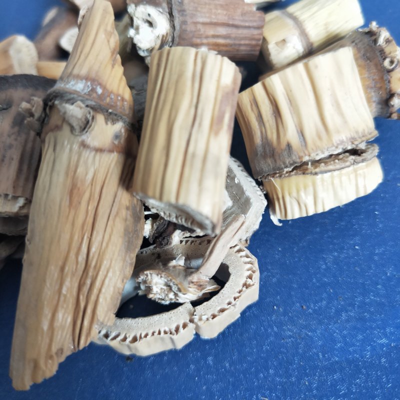 中药材芦苇根大整没有杂质