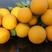 夏橙挂树鲜果产地果园看货现摘现发量大从优果面干净