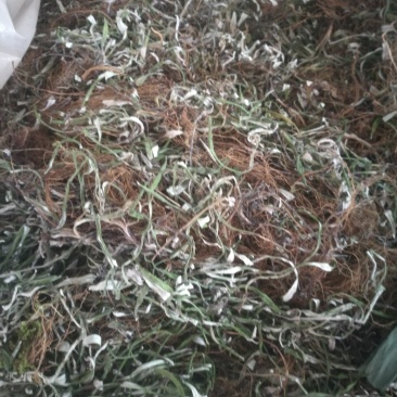 种植天青地白