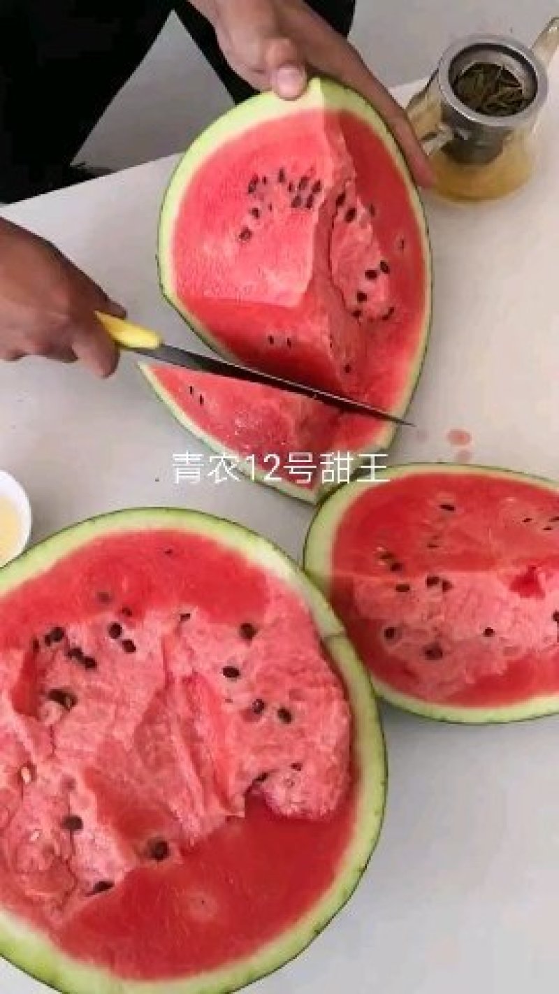 青农12号甜王早熟糖度15，大红瓤小黑籽小薄皮