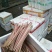 芡实杆精品新鲜，鸡头梗量大优惠产地直销一手货源