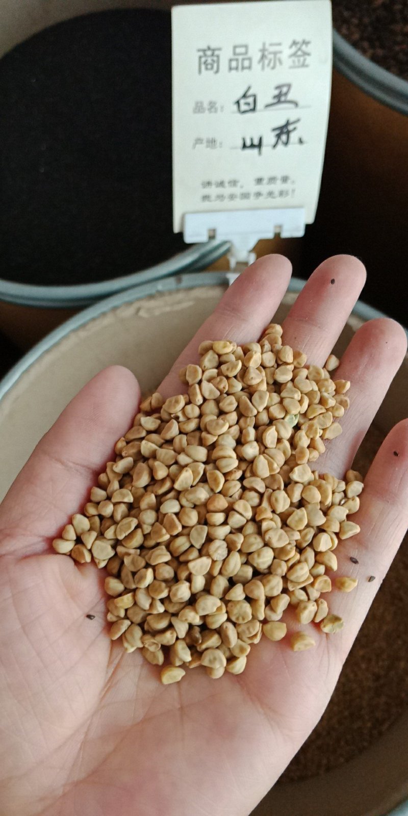 白丑白牵牛牵牛子药用批发零售各种规格中药材