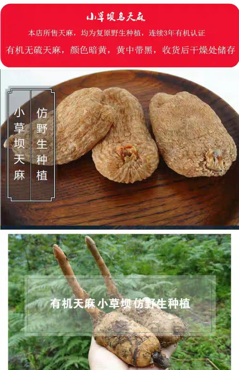 云南小草坝天麻，假一赔十。