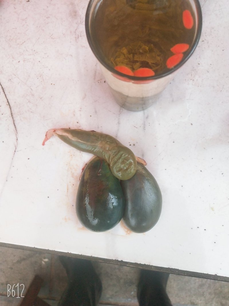 羊胆、干