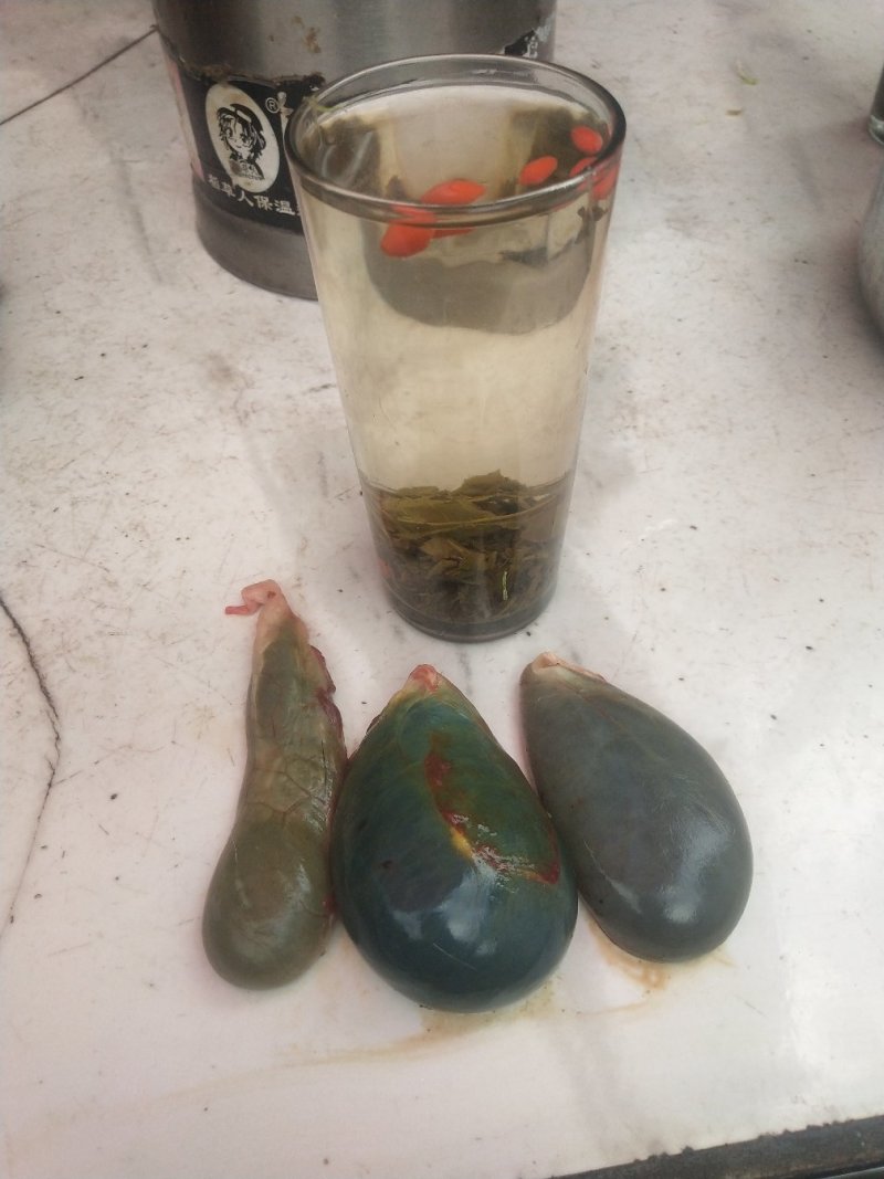 羊胆、干